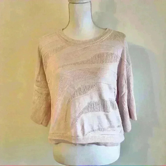 CAbi Blush Zebra Shy Dolman Sleeve Pullover Sweater - Picture 3 of 7